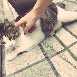 日韩精品成人免费观看
